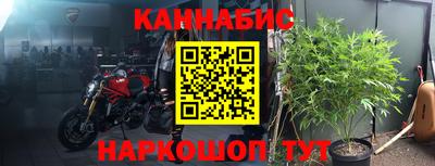 индика Нарткала