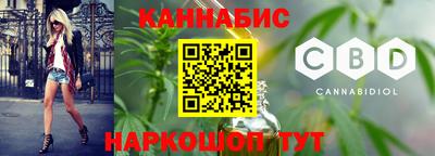 гашик Новозыбков