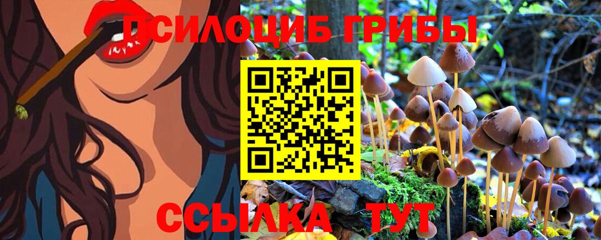 Галлюциногенные грибы MAGIC MUSHROOMS  цена   Шатура  Вход с VPN 